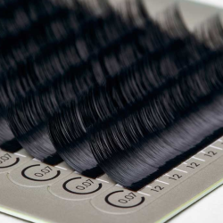 ROYAL (D+/0.10 No.09)