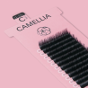CAMELLIA BLACK (D CURL/ 0.04MM/11_13MM)