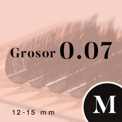 FOXY UP (M/0.07/No.12-No.15)