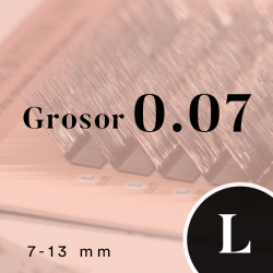 FOXY UP (L/0.07/No.7-No.13)