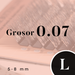 FOXY UP (L/0.07/No.5-No.8)