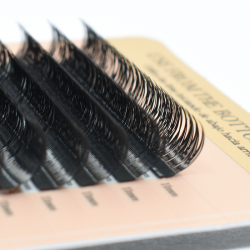 YY LASH (D+/0.04No.7-No.9)