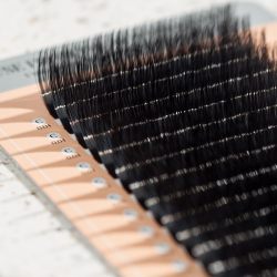 SMART VOLUME (D+/0.07/No.7-No.14)