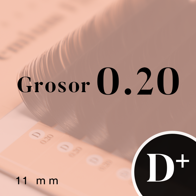 PREMIUM FLAT (D+/0.20/No.11)